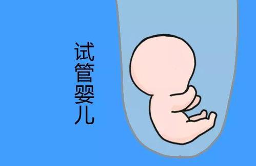 代生捐卵生子